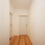Estrela Design By Hosty Apartment *